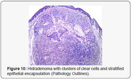 Click here to view Large Figure 10