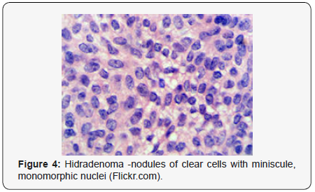 Click here to view Large Figure 4