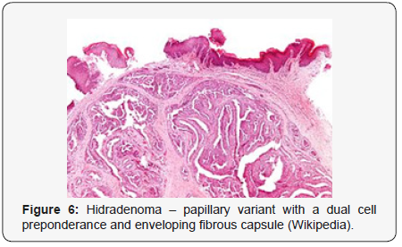 Click here to view Large Figure 6