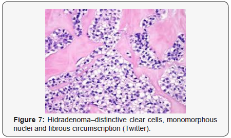 Click here to view Large Figure 7