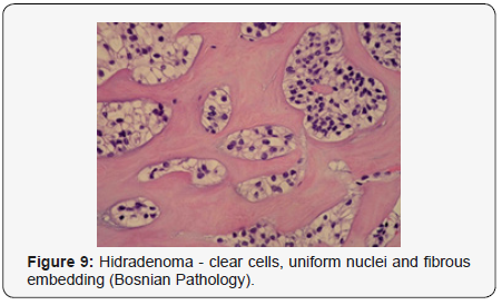 Click here to view Large Figure 9