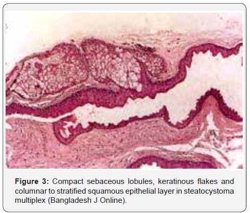 Click here to view Large Figure 3