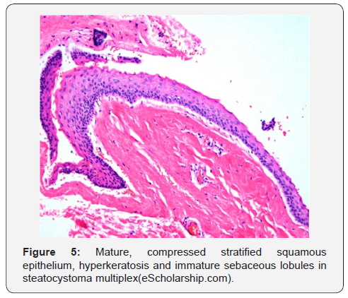 Click here to view Large Figure 5