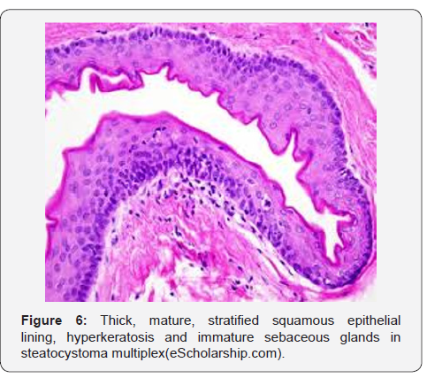 Click here to view Large Figure 6