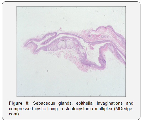Click here to view Large Figure 8