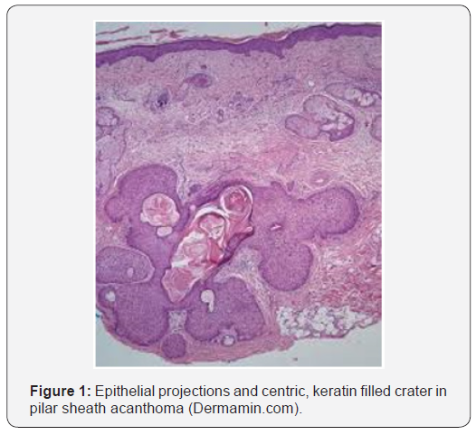 Click here to view Large Figure 1