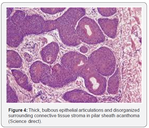 Click here to view Large Figure 4