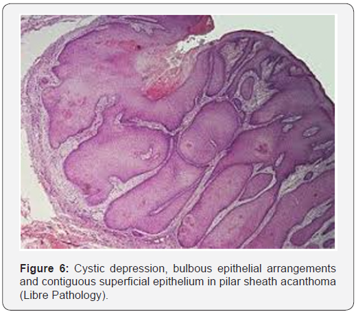 Click here to view Large Figure 6