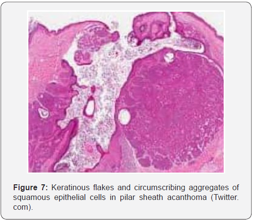Click here to view Large Figure 7