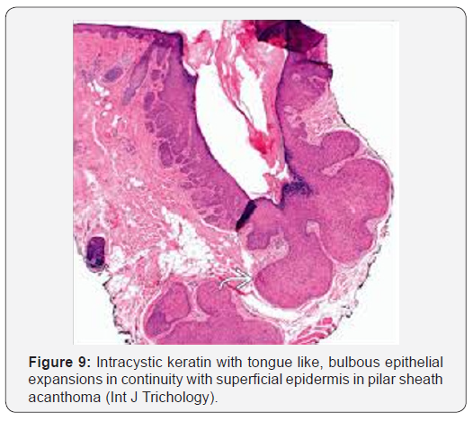 Click here to view Large Figure 9