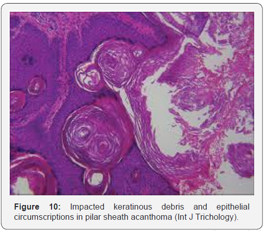 Click here to view Large Figure 10