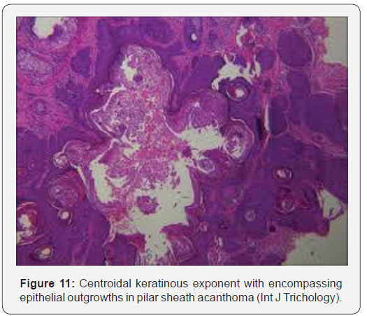 Click here to view Large Figure 11