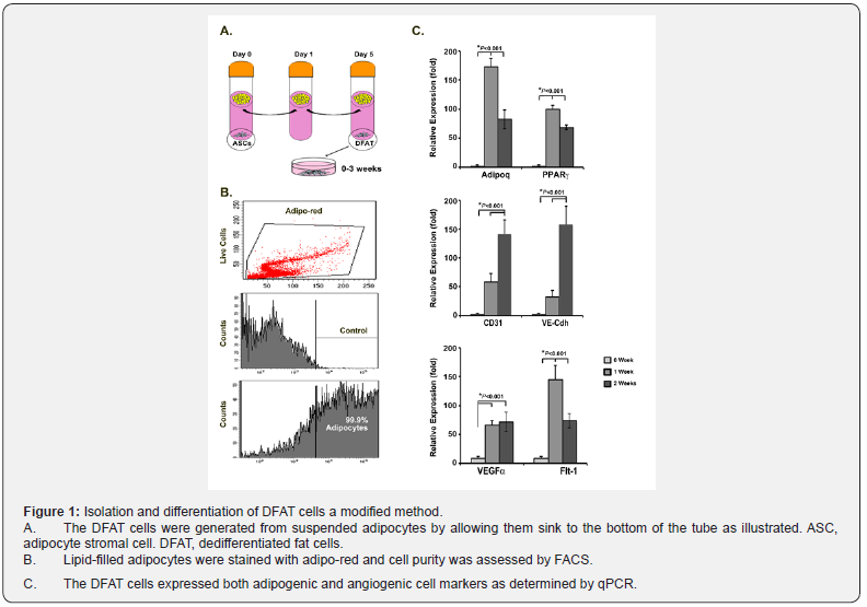 Click here to view Large Figure 1
