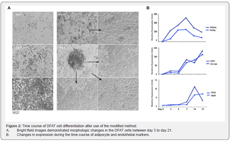 Click here to view Large Figure 2