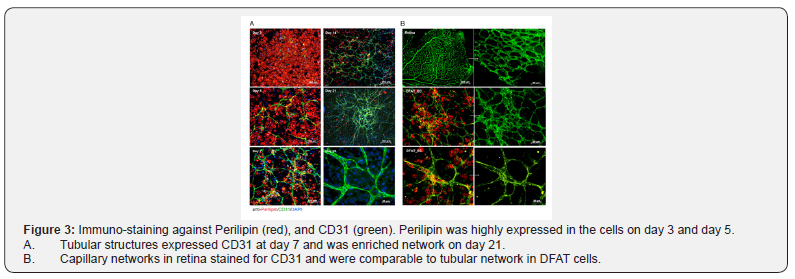 Click here to view Large Figure 3