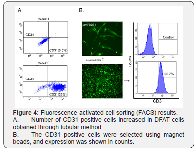 Click here to view Large Figure 4