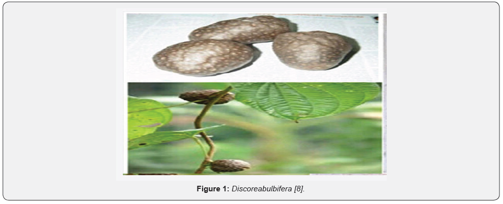 Click here to view Large Figure 1