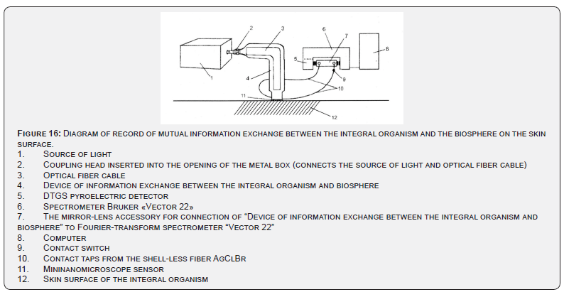 Click here to view Large Figure 16