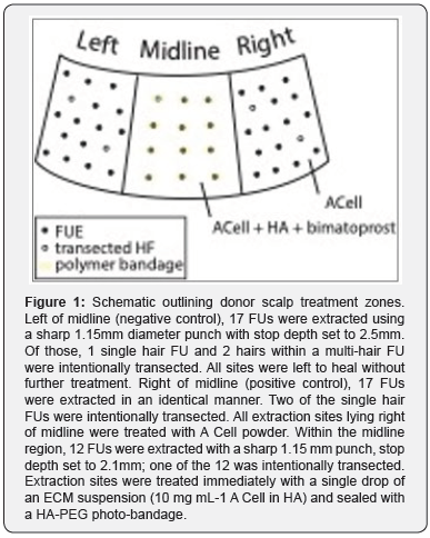 Click here to view Large Figure 1