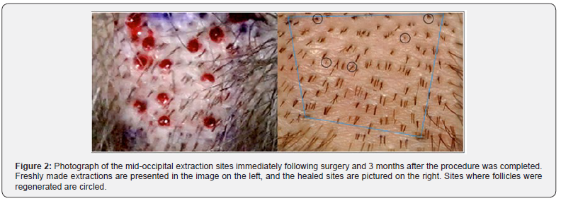 Click here to view Large Figure 2