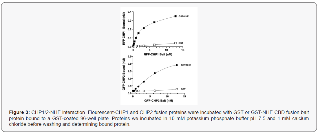 Click here to view Large Figure 3