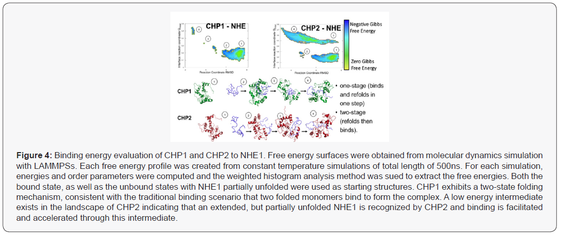 Click here to view Large Figure 4