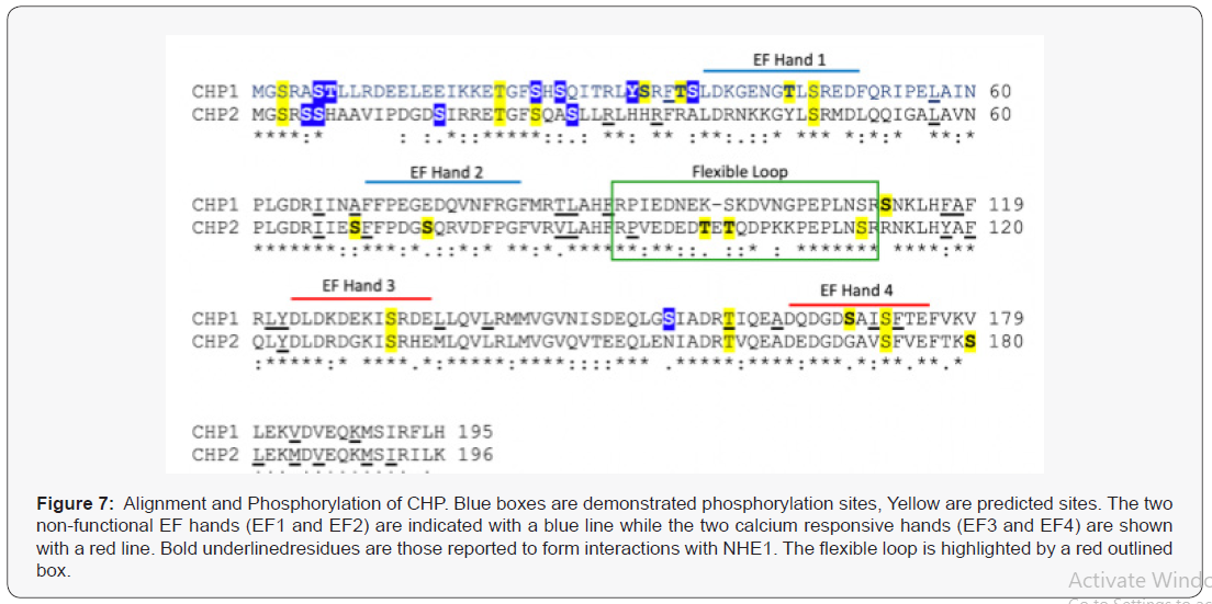 Click here to view Large Figure 7
