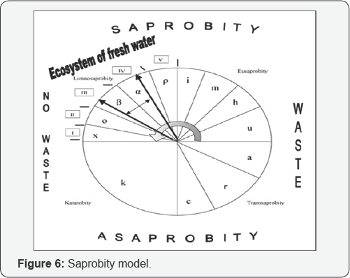 Click here to view Large Figure 6