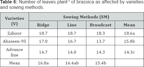 Click here to view Large Table 6