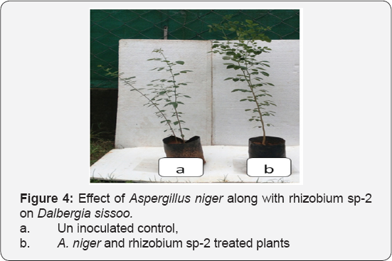 Click here to view Large Figure 4