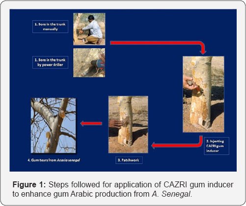 Click here to view Large Figure 1