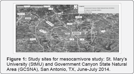 Click here to view Large Figure 1