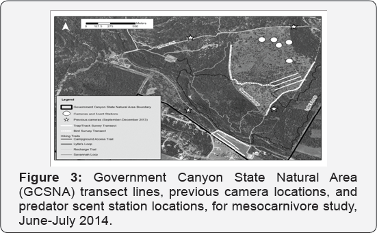 Click here to view Large Figure 3