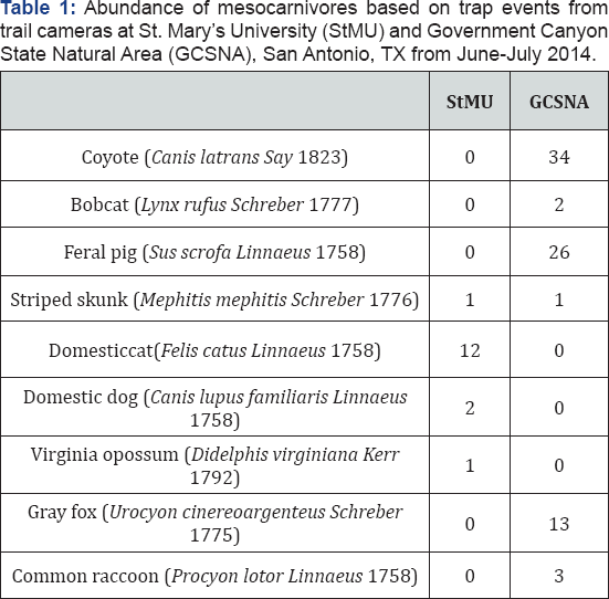 Click here to view Large Table 1