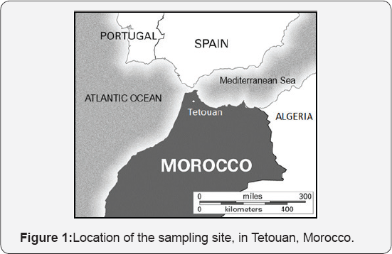 Click here to view Large Figure 1