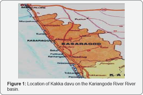 Click here to view Large Figure 1