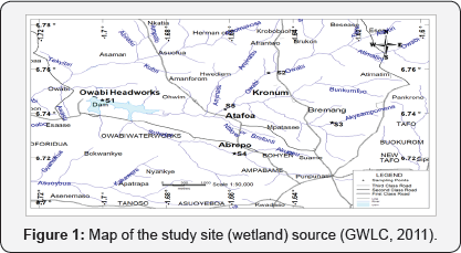 Click here to view Large Figure 1