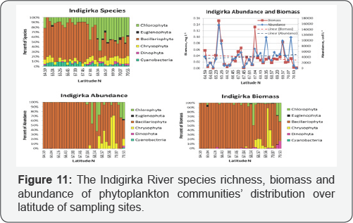 Click here to view Large Figure 11