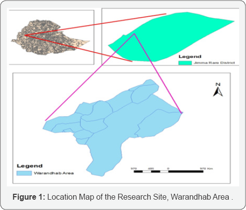 Click here to view Large Figure 1