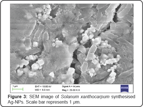 Click here to view Large Figure 1