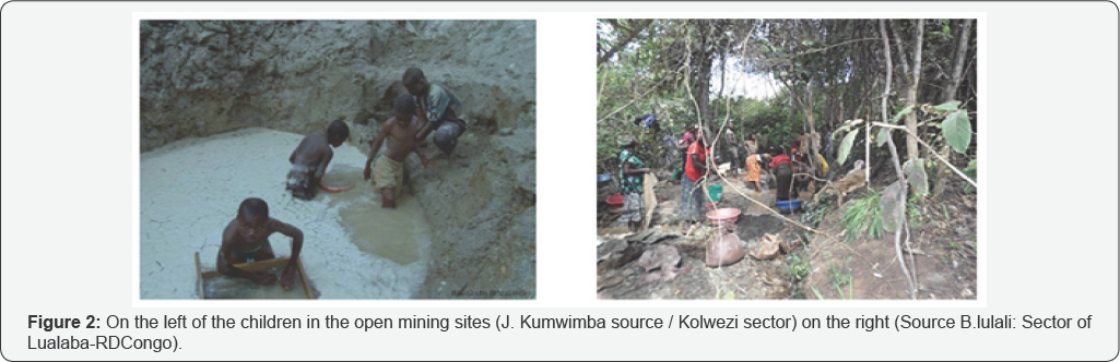 Click here to view Large Figure 1