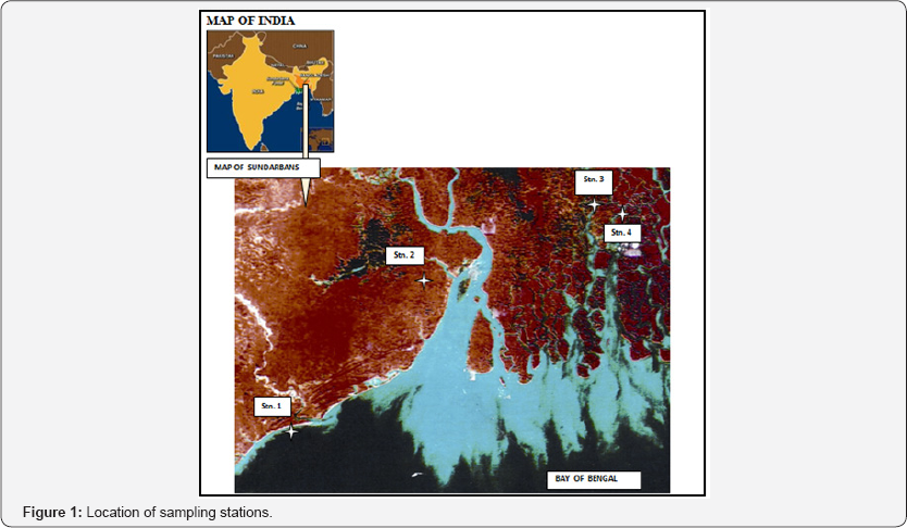 Click here to view Large Figure 1