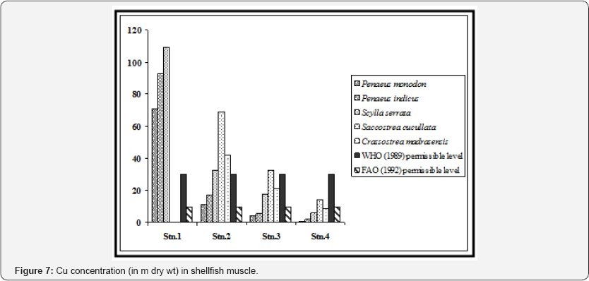 Click here to view Large Figure 7