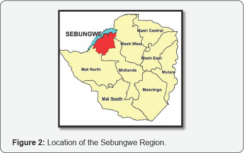 Click here to view Large Figure 1