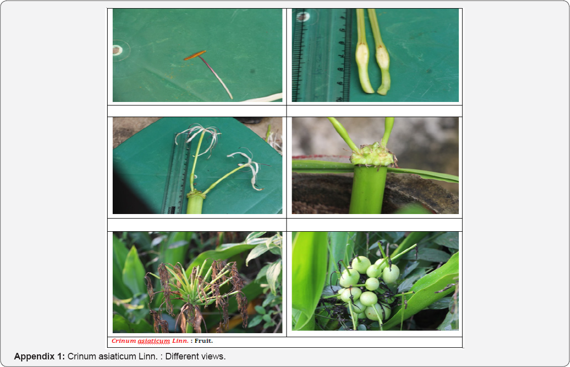 Click here to view Large Figure 1