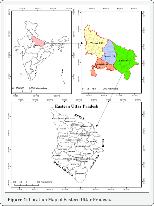 Click here to view Large Figure 1