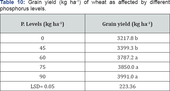 Click here to view Large Table 10