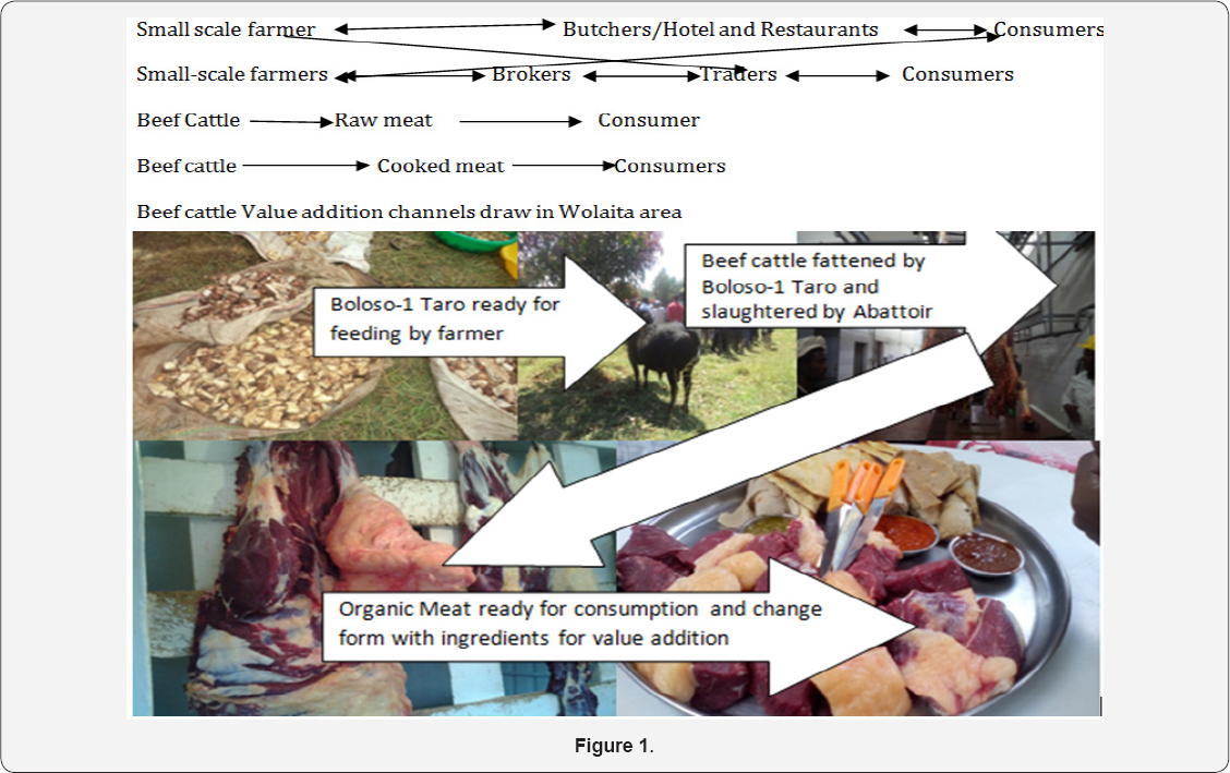 Click here to view Large Figure 1