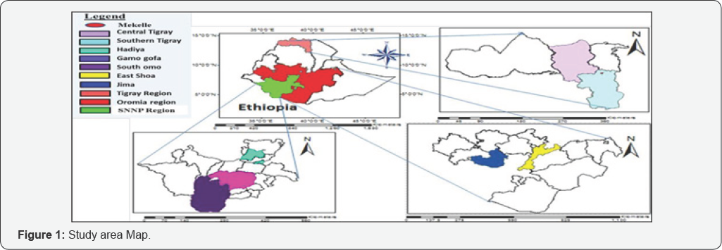 Click here to view Large Figure 1