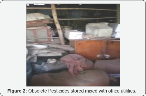 Click here to view Large Figure 2